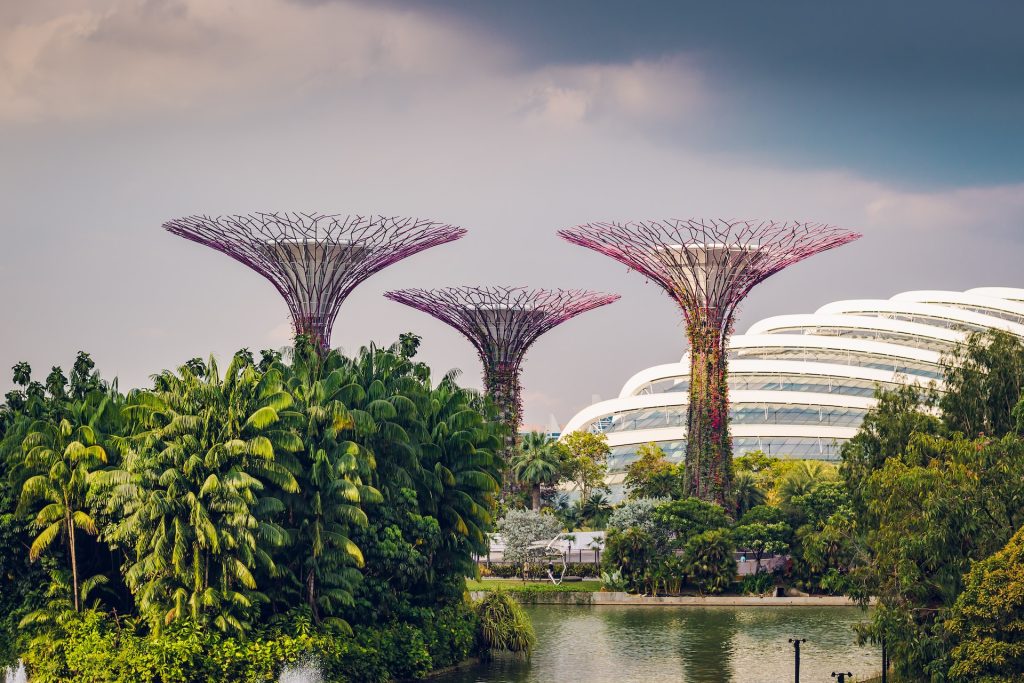 Gardens by the Bay Singapore